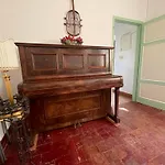 Dream In Tuscany Con Vista E Giardino Privato Massaciuccoli