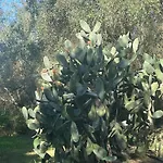 Dream In Tuscany Con Vista E Giardino Privato شقة *