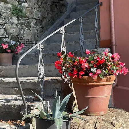 Dream In Tuscany Con Vista E Giardino Privato Массачукколи