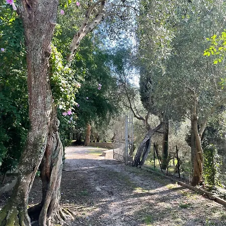 Dream In Tuscany Con Vista E Giardino Privato * Массачукколи