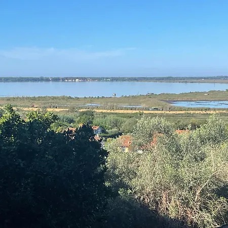 Апартаменты Dream In Tuscany Con Vista E Giardino Privato Массачукколи
