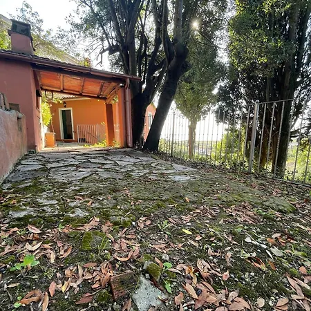 Dream In Tuscany Con Vista E Giardino Privato * Massaciuccoli