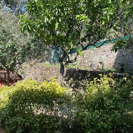 Dream In Tuscany Con Vista E Giardino Privato Апартаменты Массачукколи