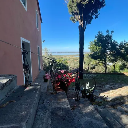 Dream In Tuscany Con Vista E Giardino Privato Массачукколи