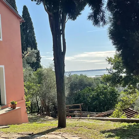 Dream In Tuscany Con Vista E Giardino Privato Апартаменты